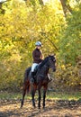 Cheerful young woman and her horse in autumn Royalty Free Stock Photo