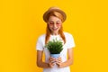 Cheerful young woman holding pot plant. Isolated yellow background, close up portrait. Plant care amd home gardening Royalty Free Stock Photo