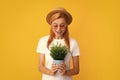 Cheerful young woman holding pot plant.  yellow background, close up portrait. Plant care amd home gardening Royalty Free Stock Photo