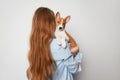 Cheerful young woman hugging and kissing her puppy basenji dog. Love between dog and owner. Isolated on white background Royalty Free Stock Photo