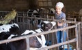 Cheerful young woman stroking cows on the farm Royalty Free Stock Photo