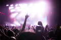 Cheering crowd at concert enjoying music performance Royalty Free Stock Photo