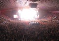 Cheering crowd in a concert hall