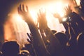 Cheering crowd with hands in air at music festival Royalty Free Stock Photo