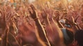 Cheering crowd with hands in air at music festival. Generative AI. Royalty Free Stock Photo