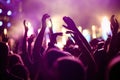 Cheering crowd with hands in air at music festival Royalty Free Stock Photo