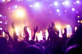 Cheering crowd with hands in air at music festival Royalty Free Stock Photo