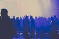 cheering crowd with raised hands at concert - music festival