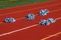 Cheerleader pom poms Royalty Free Stock Photo