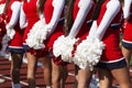 Cheerleaders holding pom poms behind them Royalty Free Stock Photo