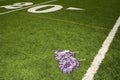 Cheerleading pom-poms on football field