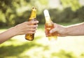 Cheers Beer Alcohol Celebration Outdoors Toast Concept Royalty Free Stock Photo