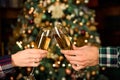 Cheers. Close up photo of two people holding glasses of shampagne on xmas. Royalty Free Stock Photo
