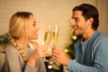 Cheers! Happy spouses clinking champagne glasses, side view Royalty Free Stock Photo