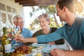 Cheers to many more happy years. a happy family toasting with wine during a family lunch outdoors.