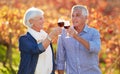 Cheers to us. a senior couple toasting on a wine farm. Royalty Free Stock Photo