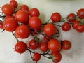 Cheery Tomatoes white background Royalty Free Stock Photo