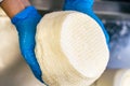 The process of making ricotta cheese, mozzarella. The hands of the cheesemaker hold the cheese preparation. Close-up Royalty Free Stock Photo