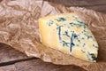 Cheese with a blue mold on the paper Royalty Free Stock Photo