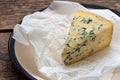 Cheese with a blue mold on the paper Royalty Free Stock Photo