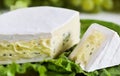 Cheese with blue mould Royalty Free Stock Photo