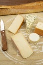 Cheese board and bread Royalty Free Stock Photo