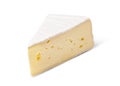 cheese brie on a white background Royalty Free Stock Photo