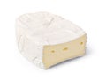 Cheese brie on a white background Royalty Free Stock Photo