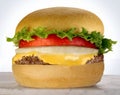 Cheese burger Royalty Free Stock Photo