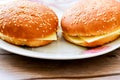 Cheese Burger Royalty Free Stock Photo