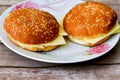 Cheese Burger Royalty Free Stock Photo