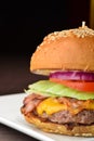 Cheese burger with a bacon - American cheese burger Royalty Free Stock Photo