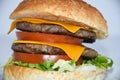 Cheese burger with cheddar cheese served on plate