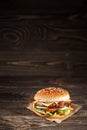 Cheese burger with grilled meat, cheese, tomato, on craft paper Royalty Free Stock Photo