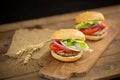 Cheese burger with grilled meat, cheese, tomato, on craft paper Royalty Free Stock Photo
