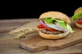 Cheese burger with grilled meat, cheese, tomato, on craft paper Royalty Free Stock Photo