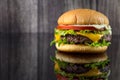 Cheese burger Royalty Free Stock Photo