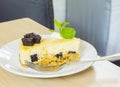 Cheese cake with brownie chocolate Royalty Free Stock Photo