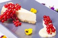 Cheese cake plate made by a restaurant chef. Composition made with fruits and different flowers Royalty Free Stock Photo