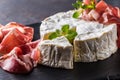 Cheese camambert from prosciutto and oregano herbs. Royalty Free Stock Photo