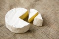 Cheese camembert or brie on rustic background. Milk production.