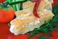 Cheese cannelloni served with pepper and tomato Royalty Free Stock Photo