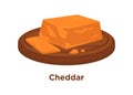 Cheese Cheddar sort vector flat isolated slice icon on wooden platter