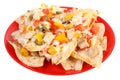 cheese and chicken nachos