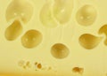 Cheese closeup texture background. Royalty Free Stock Photo