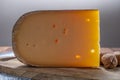Cheese collection, Belgian old yellow cow milk cheese from Bruges Royalty Free Stock Photo