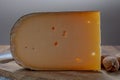 Cheese collection, Belgian old yellow cow milk cheese from Bruges Royalty Free Stock Photo