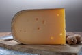 Cheese collection, Belgian old yellow cow milk cheese from Bruges