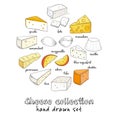 Cheese Collection of Cut sliced cheese assortment. Decorative icons set. Vector illustration for design menus, recipes