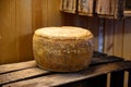 Cheese collection, French beaufort or abondance cow milk cheese from Savoy region Royalty Free Stock Photo